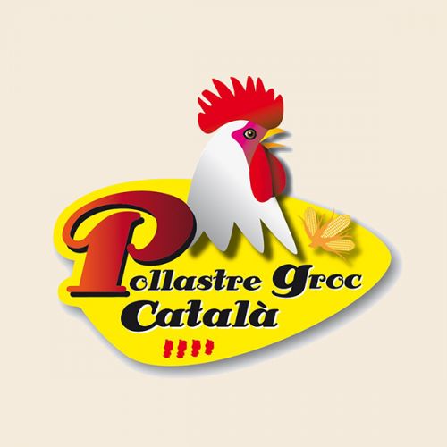 Pollastre Groc Català